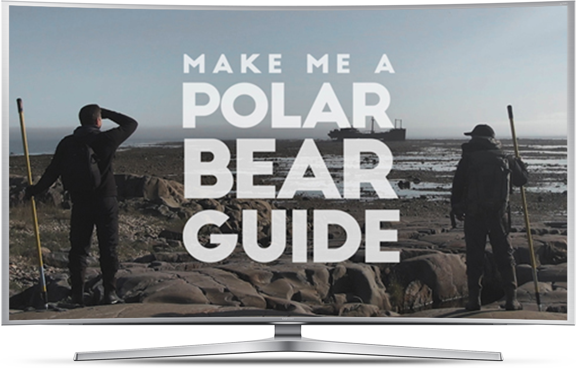 Make Me A Polar Bear Guide