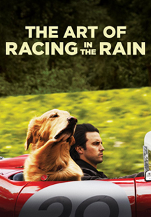The Art of Racing in the Rain