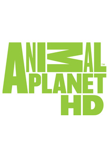 Animal Planet HD